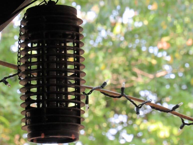 a fly zapper hung outdoor