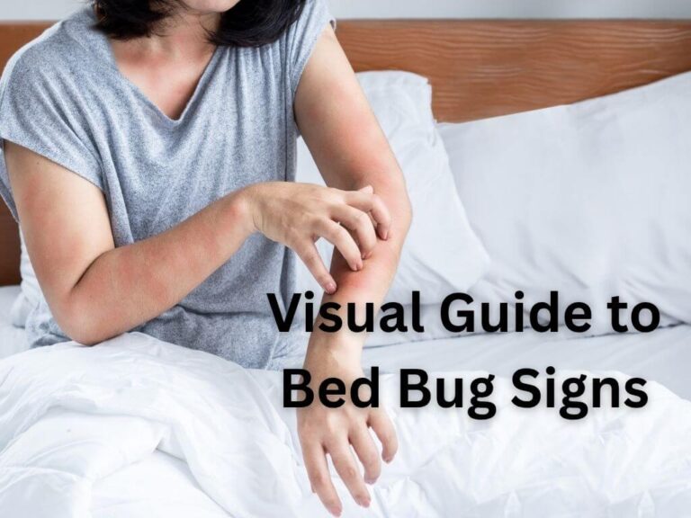 Waking Up with Bites? Your Visual Guide to Bed Bug Signs and Symptoms